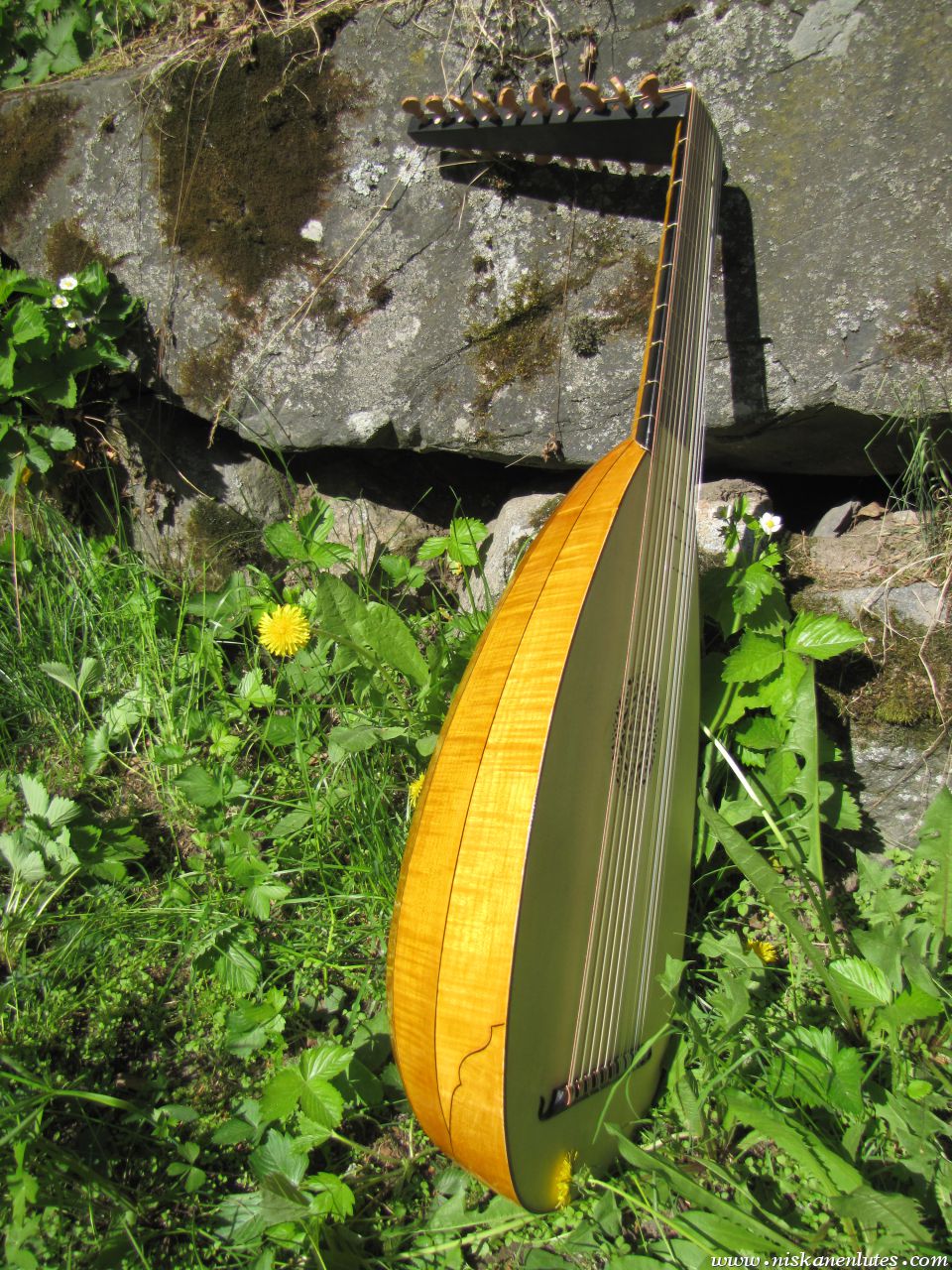 Gallery | Niskanen Lutes
